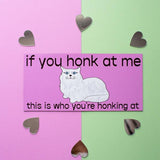 If You Honk Car Magnet