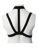 Gender Fluid Majesty Harness -Black (XL-XXXL)